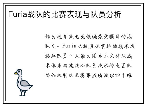 Furia战队的比赛表现与队员分析