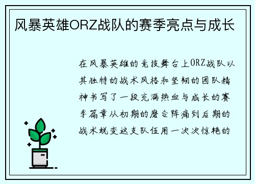 风暴英雄ORZ战队的赛季亮点与成长
