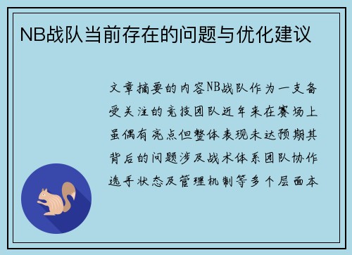 NB战队当前存在的问题与优化建议