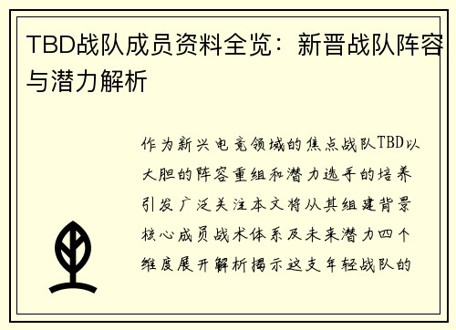TBD战队成员资料全览：新晋战队阵容与潜力解析
