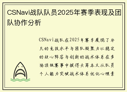 CSNavi战队队员2025年赛季表现及团队协作分析